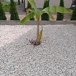 Daire Vadgalamb Apartmanhaz *