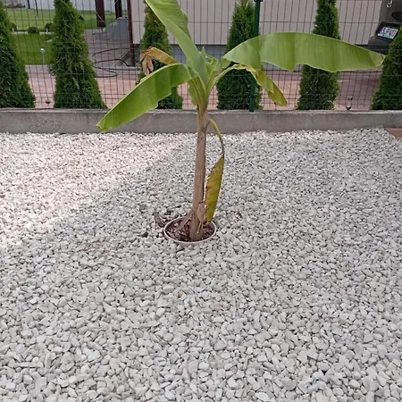 Διαμέρισμα Vadgalamb Apartmanhaz *