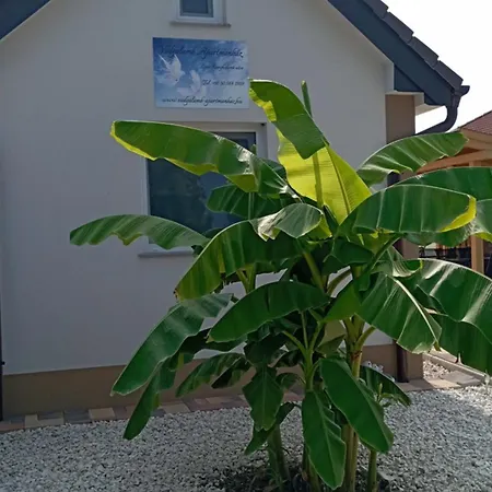 Vadgalamb Apartmanhaz *
