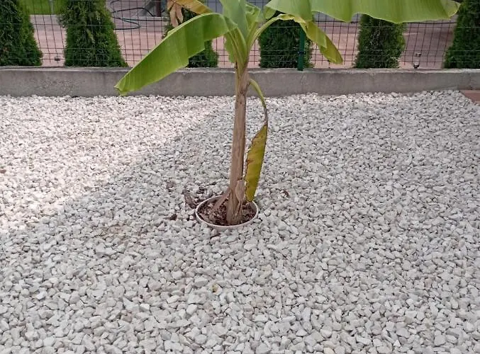 Lägenhet Vadgalamb Apartmanhaz *